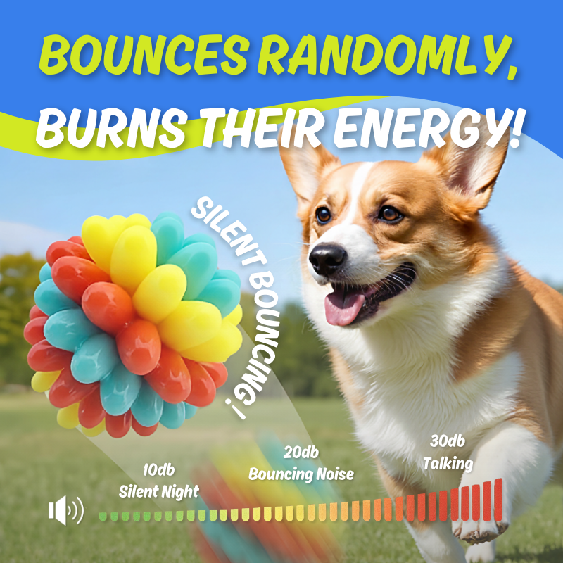 Colorful Chewing Toy