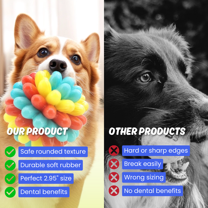 Colorful Chewing Toy