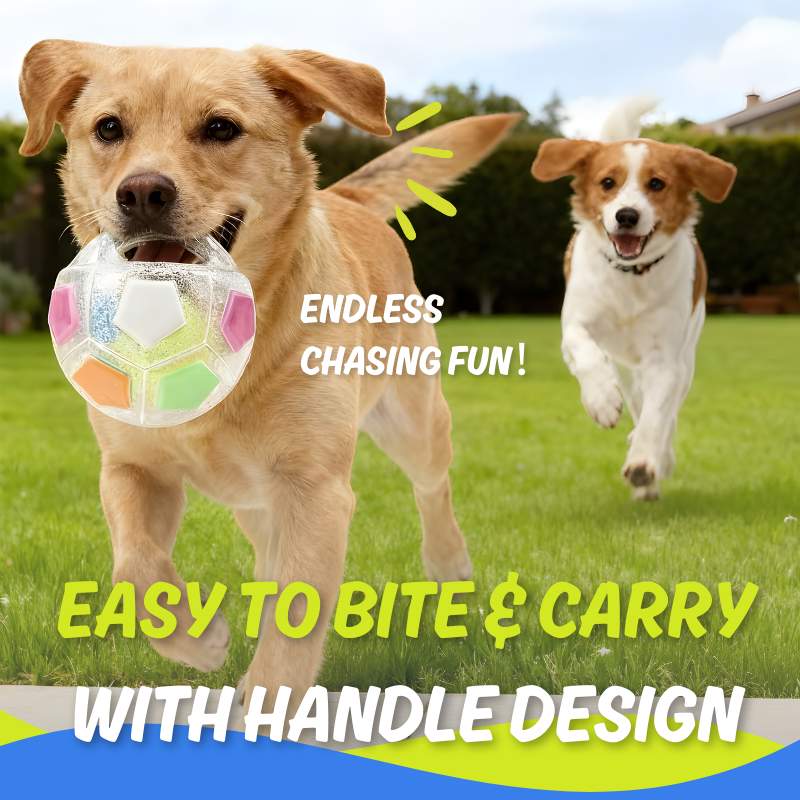 Colorful Squeaky Football