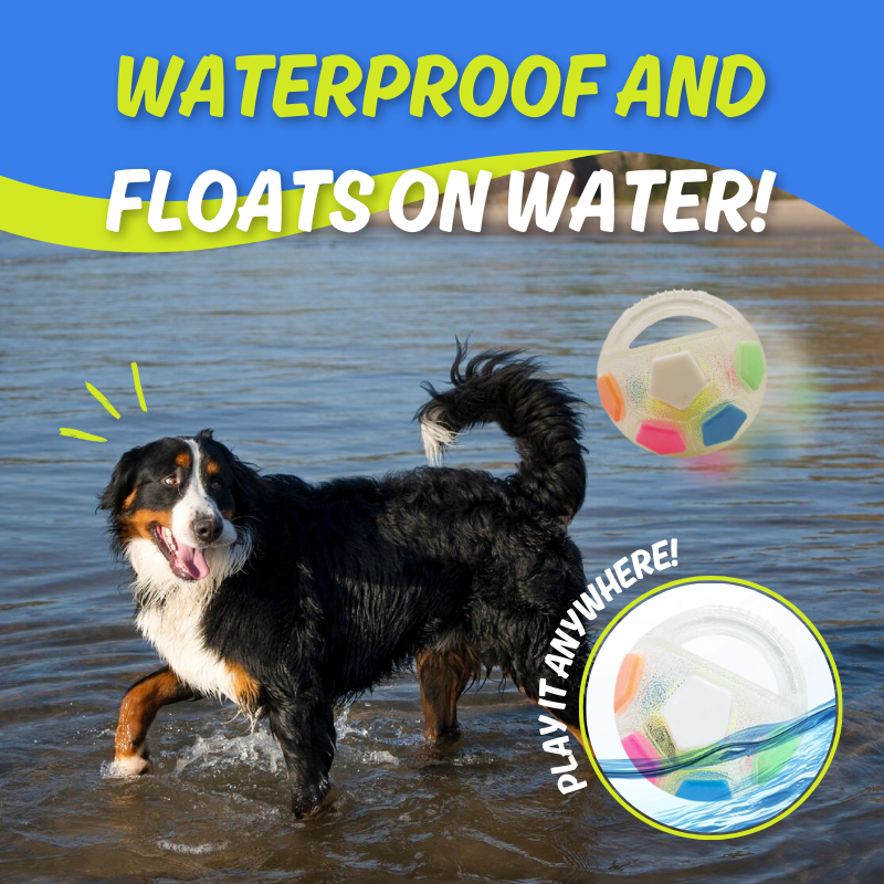 Colorful Squeaky Football