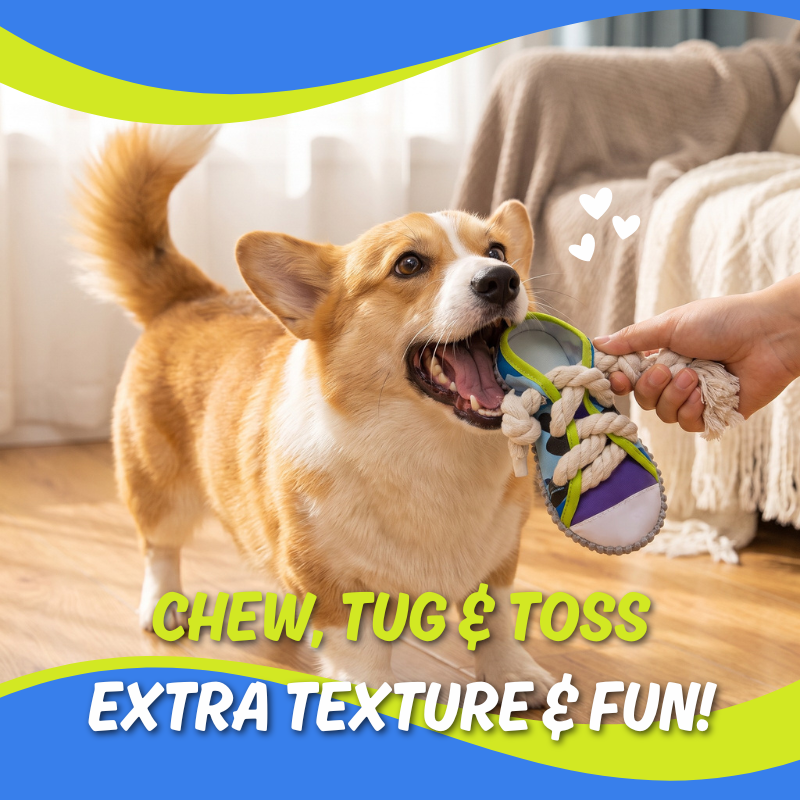 Shoe Squeaky Toy