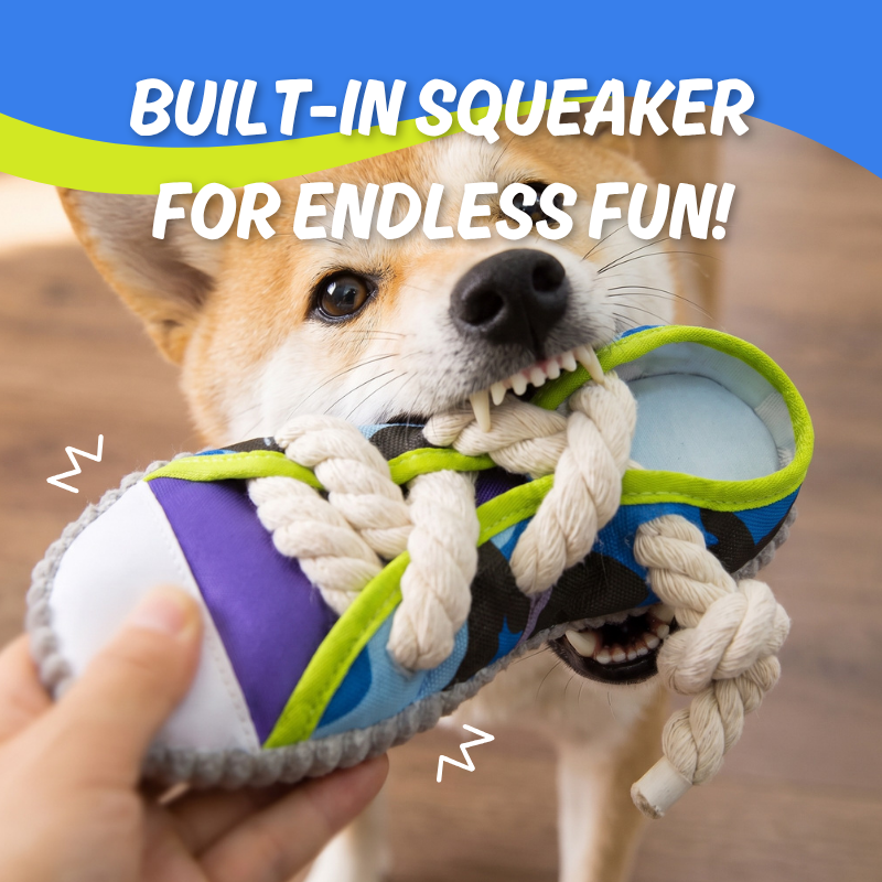 Shoe Squeaky Toy