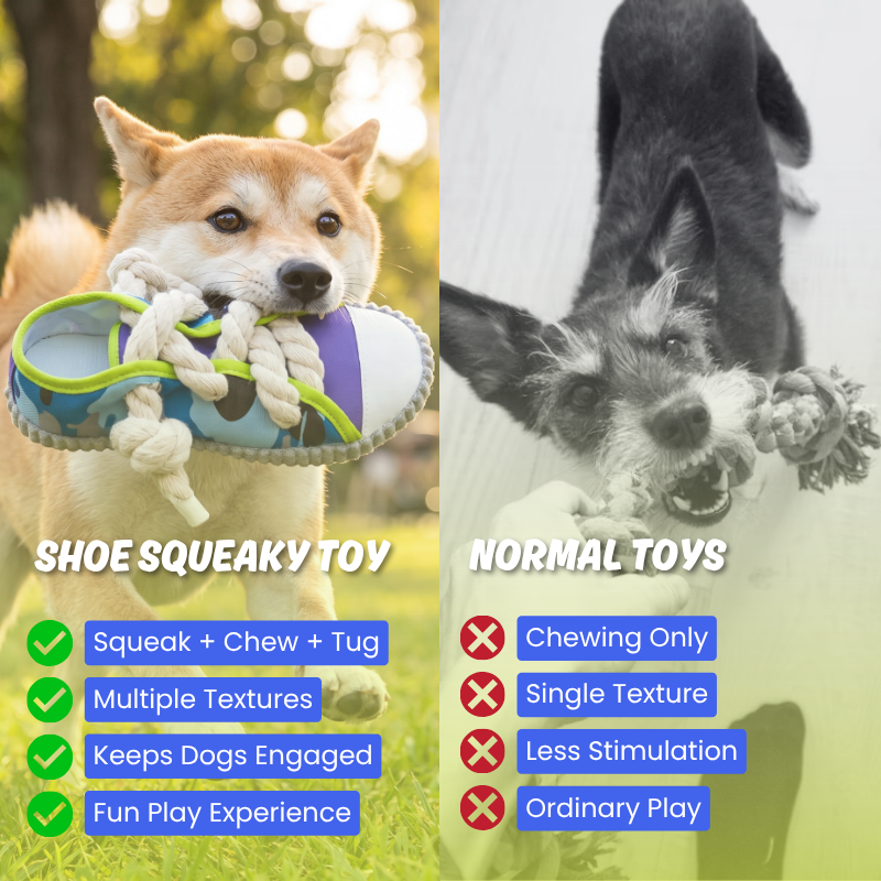 Shoe Squeaky Toy