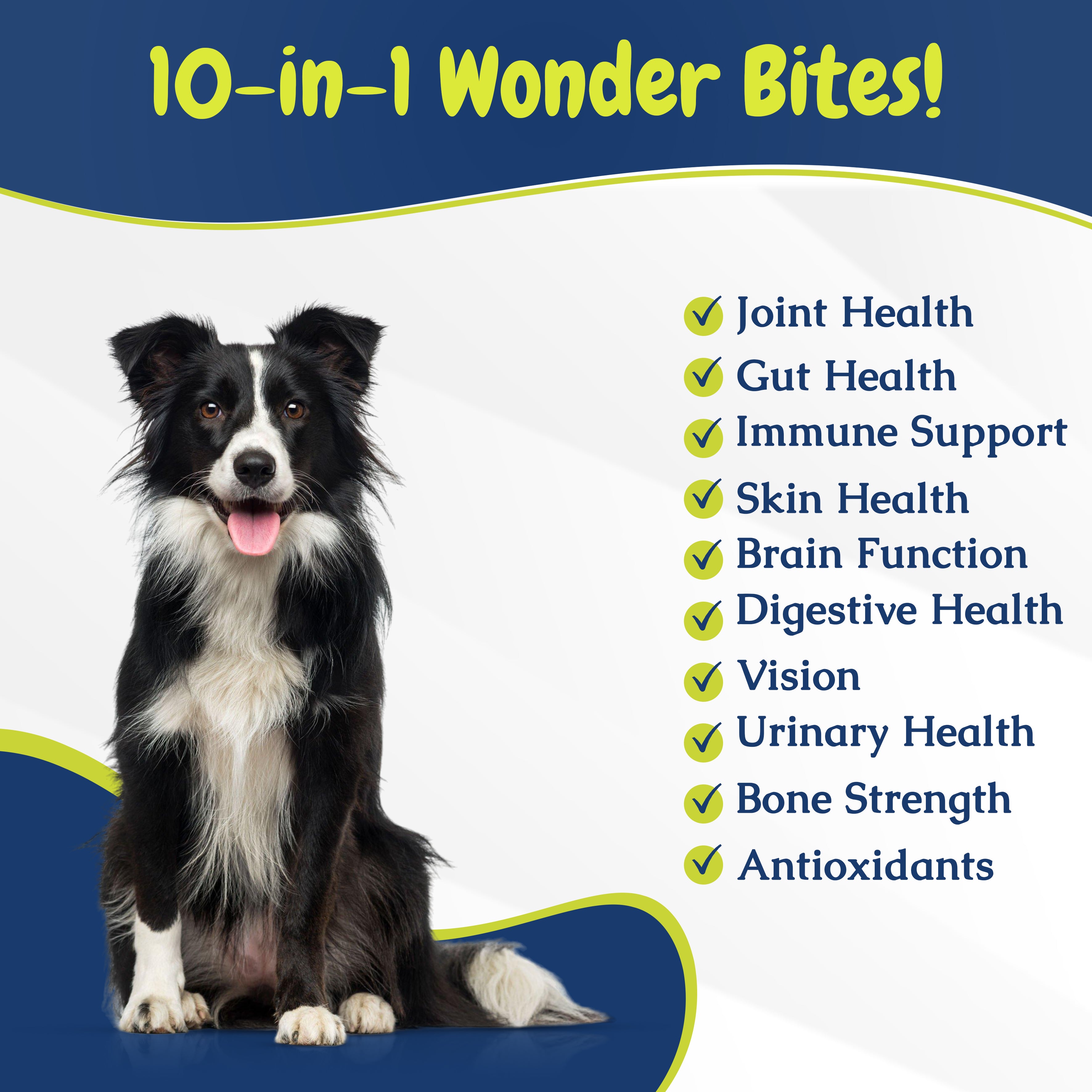 10-in-1 Wonder Bites