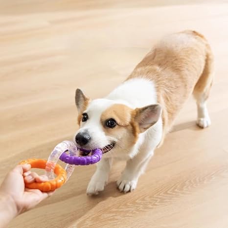 Pull Ring Toy