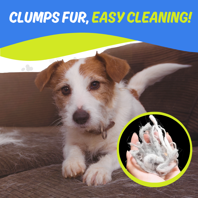 Dog Hair Remover