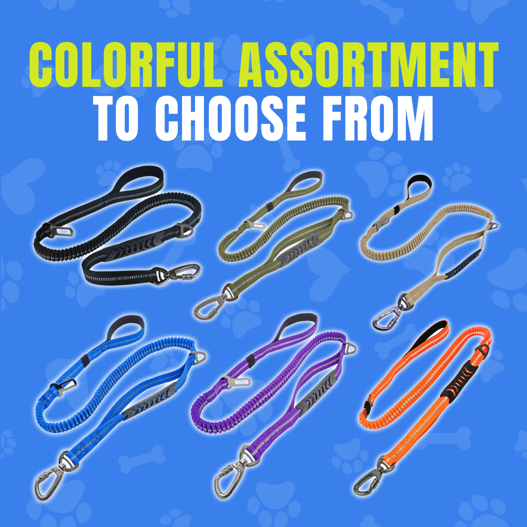2-in-1 Safety Strap Leash