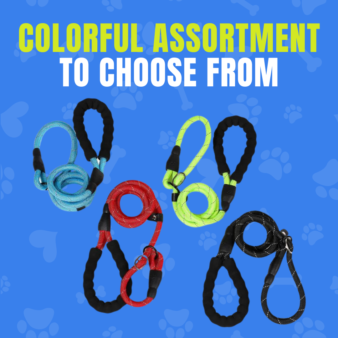 Anti-pull Dog Leash