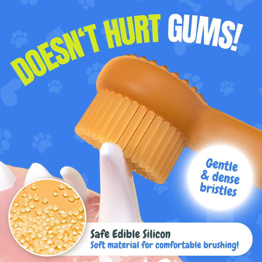 Pet Toothbrush
