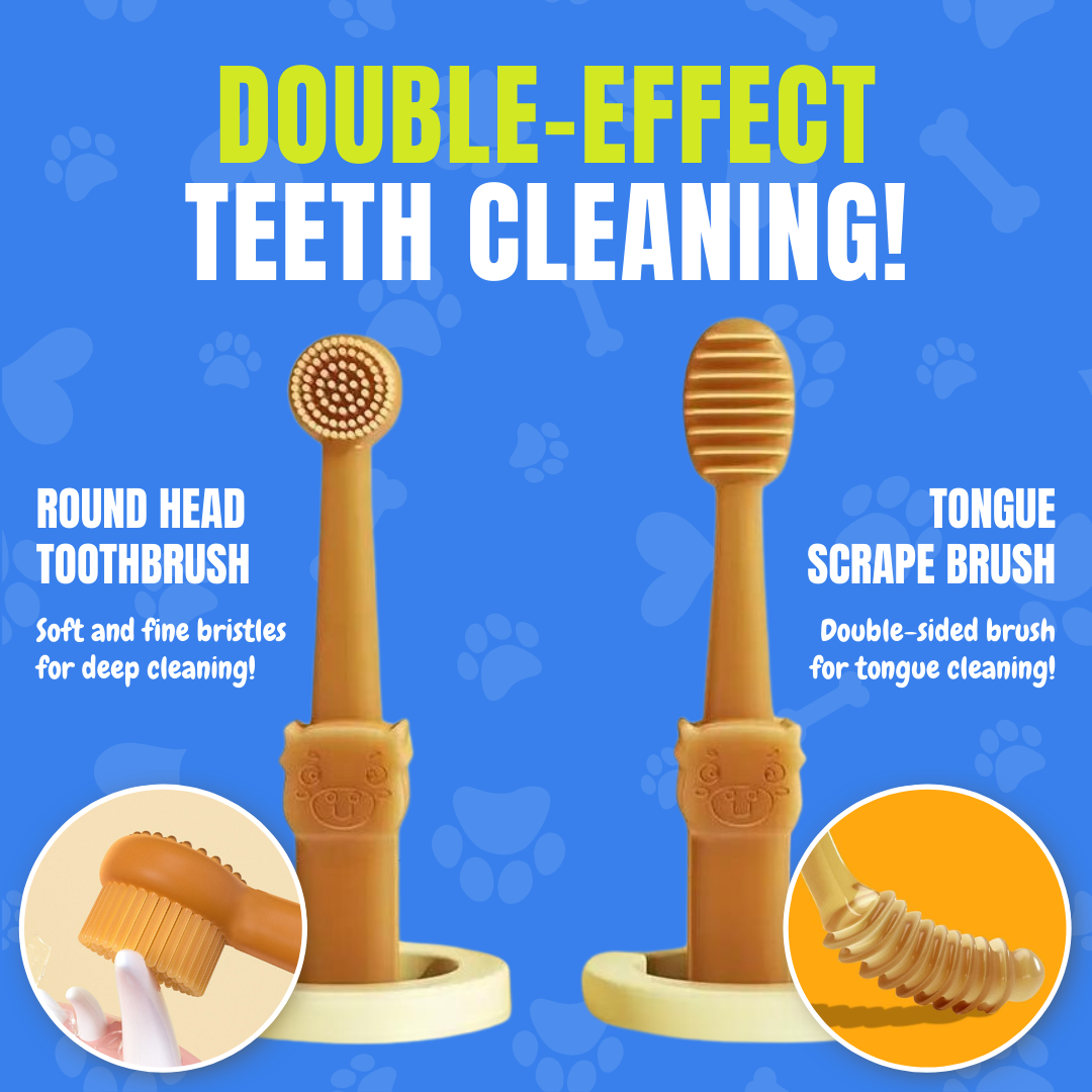 Pet Toothbrush