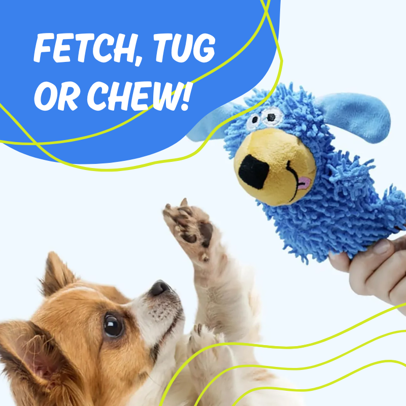 Goofy Squeaky Dog Toy