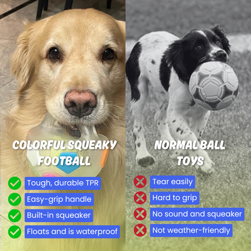 Colorful Squeaky Football