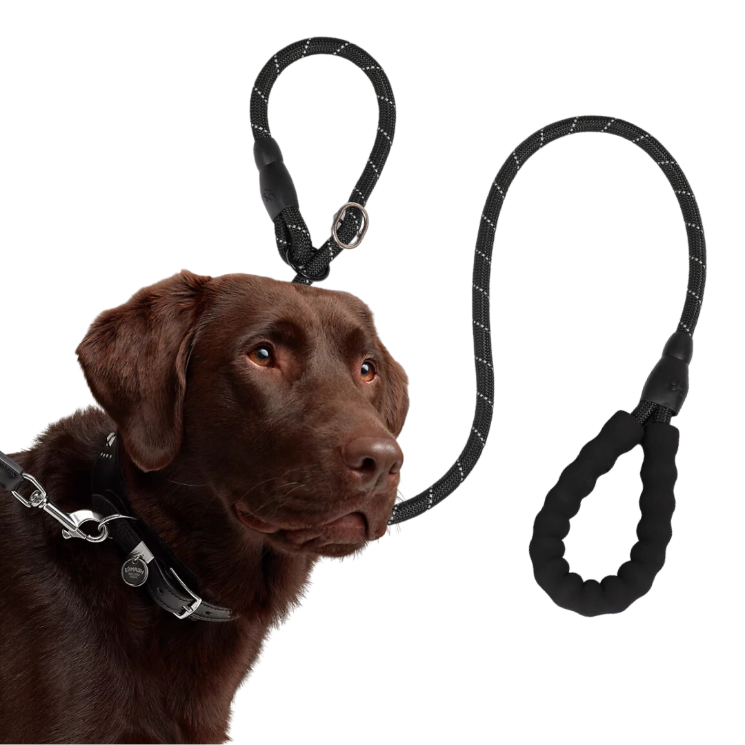 Anti-pull Dog Leash