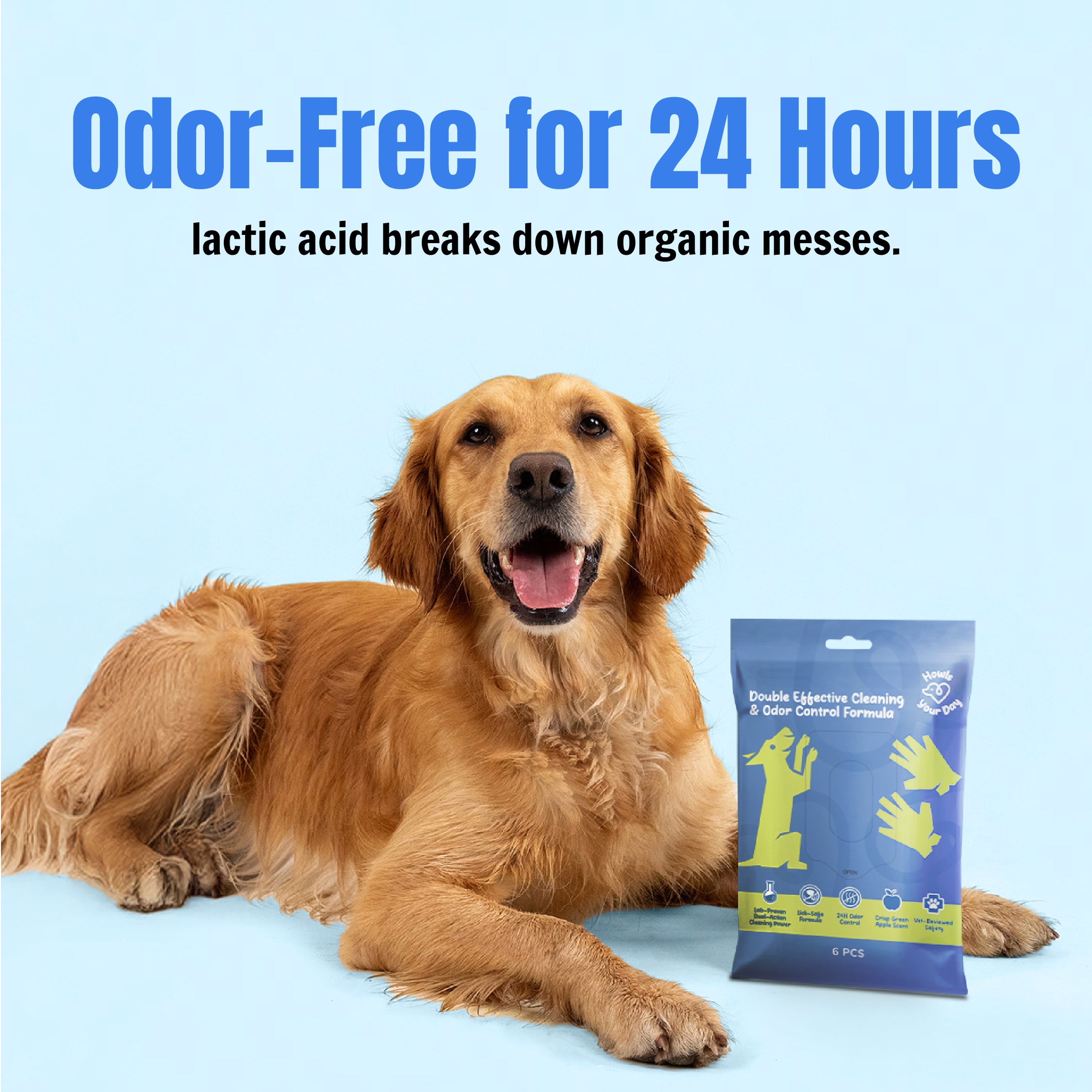 InstantBath+