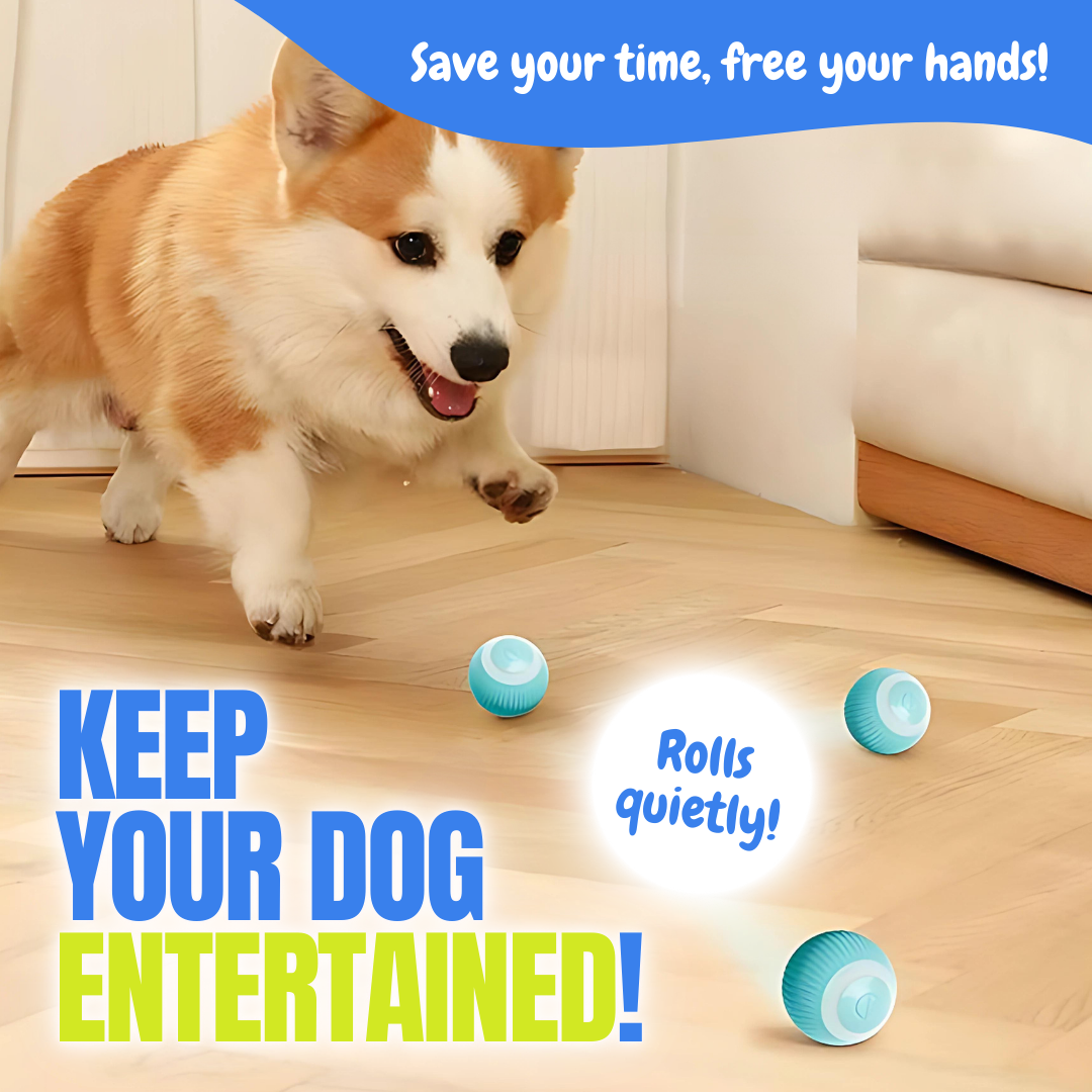 Dancing Ball Toy