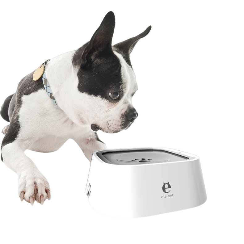 Drip proof top dog water bowl