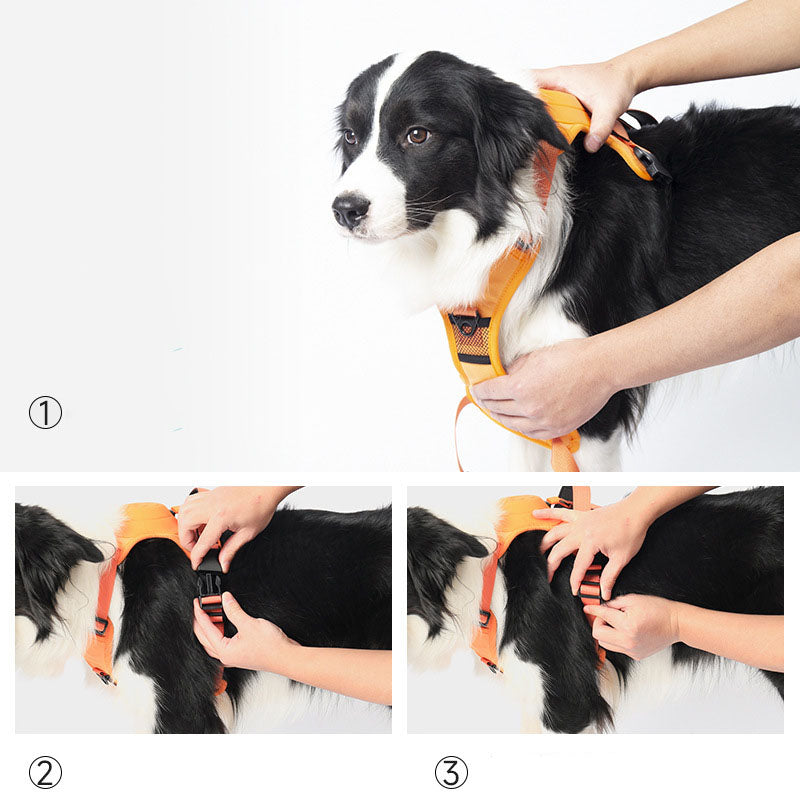 ComfyWalk Harness & Leash