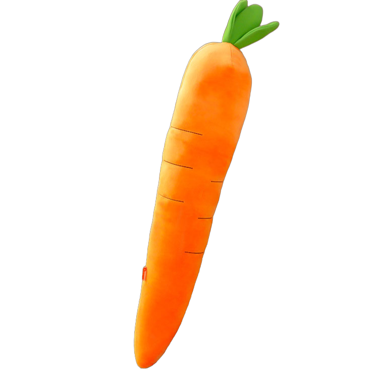 Carrot Squeaky Toy