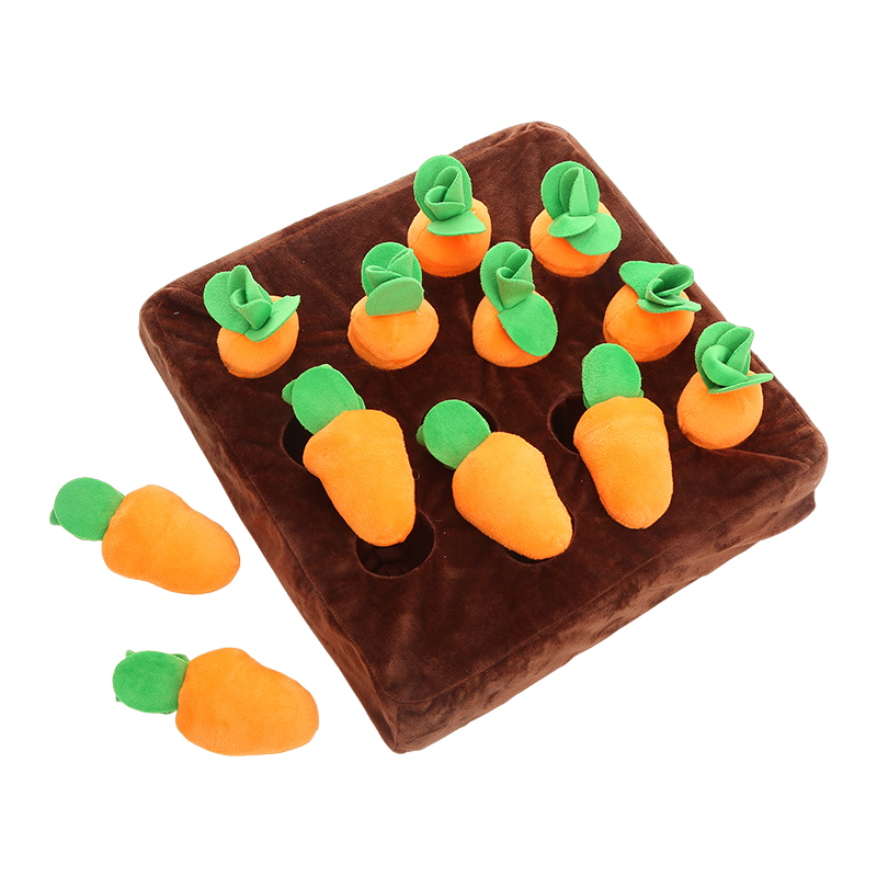 Carrot Farm Toy