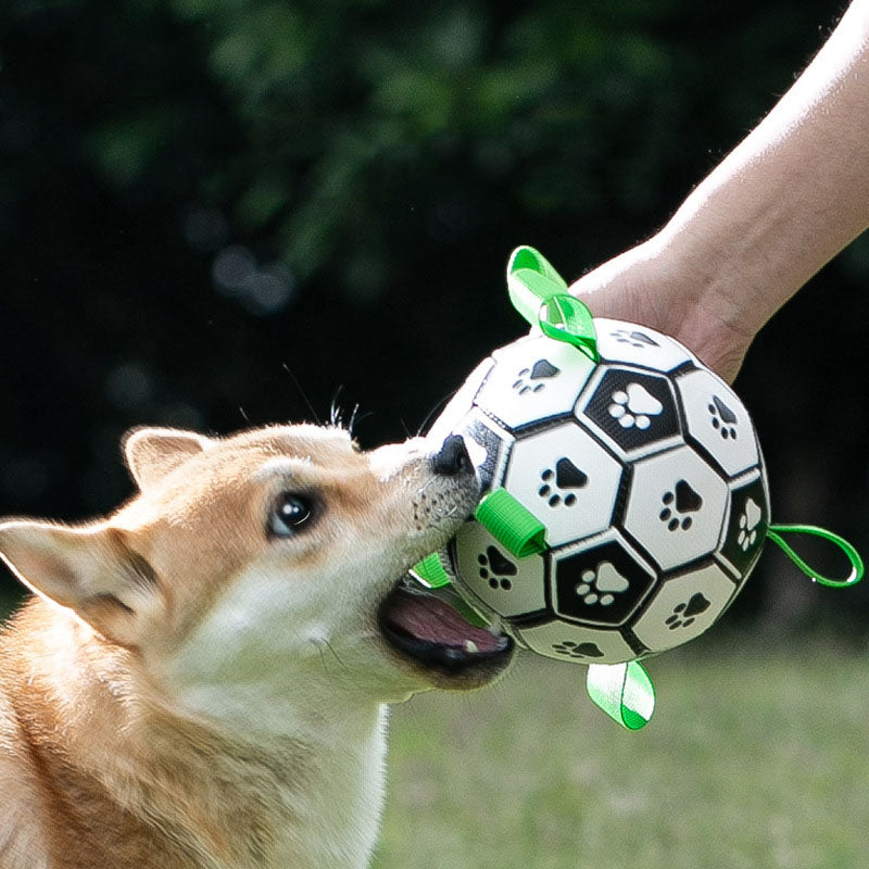 ColourTabs Ball Toy