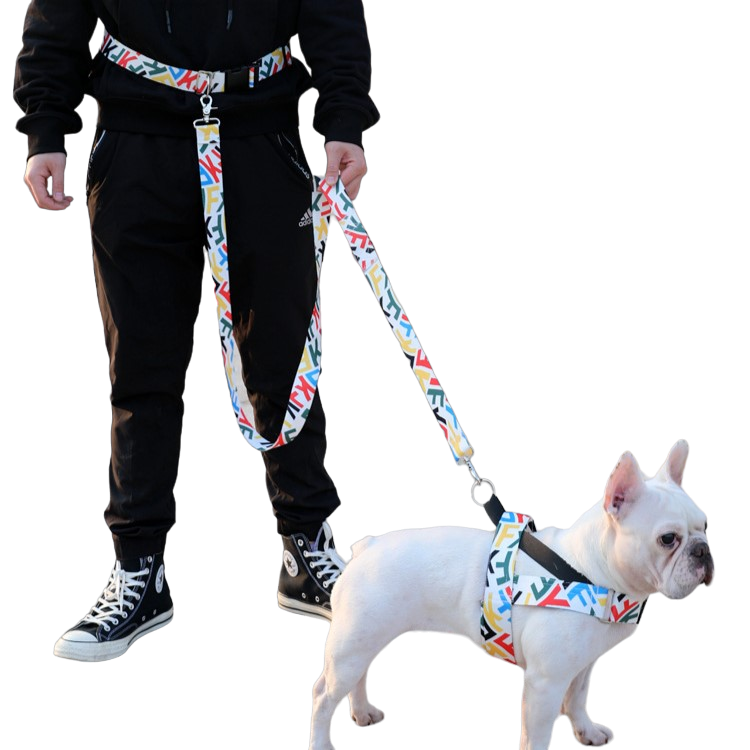 Hands-Free Leash