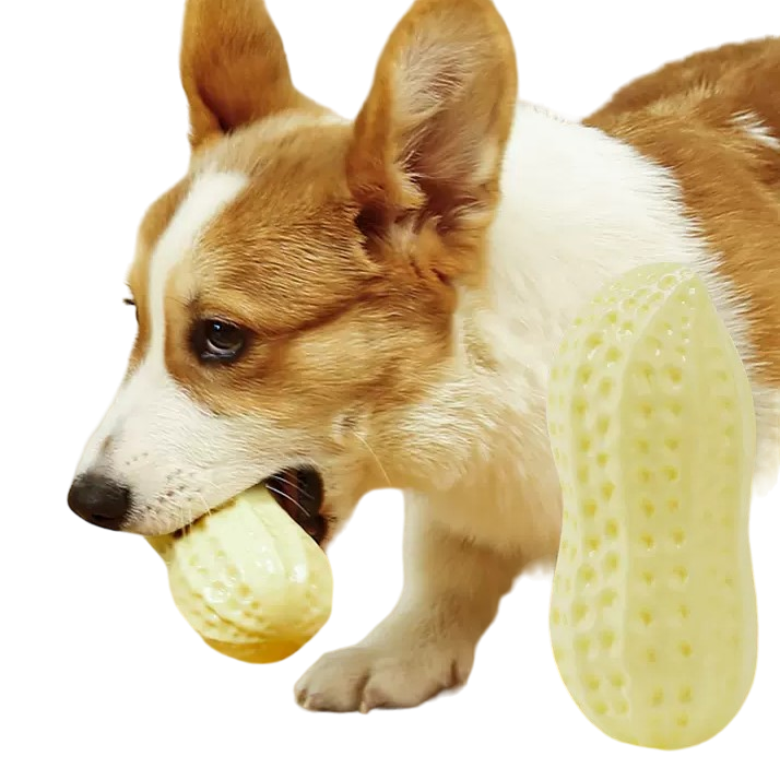 Peanut Squeaky Toy