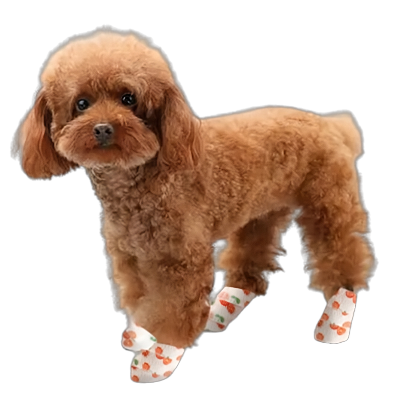 Bandage Shoe