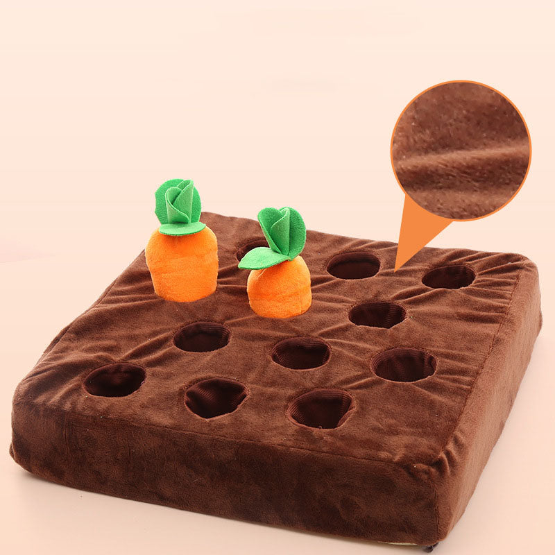 Carrot Farm Toy
