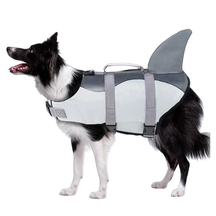 Shark Life Jacket