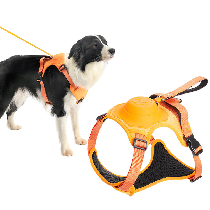 ComfyWalk Harness & Leash