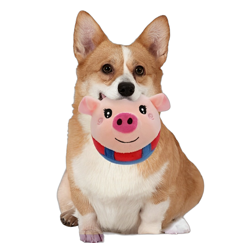 Crazy Dog Toy