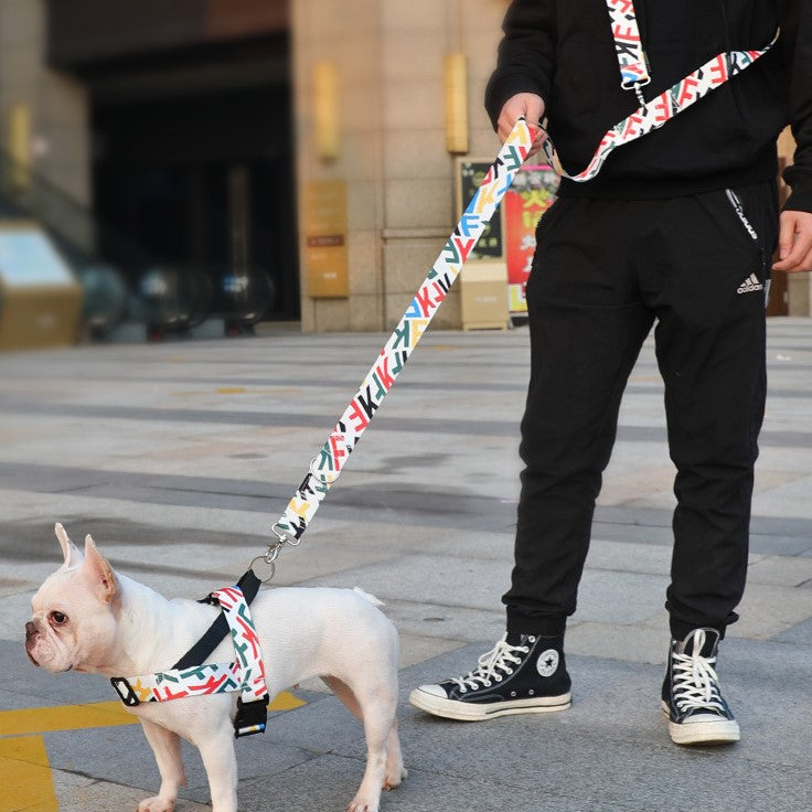 Hands-Free Leash