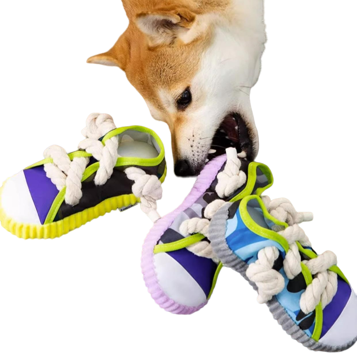 Shoe Squeaky Toy