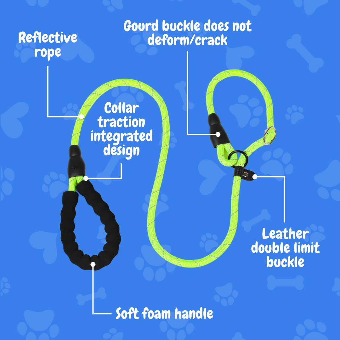 Anti-pull Dog Leash