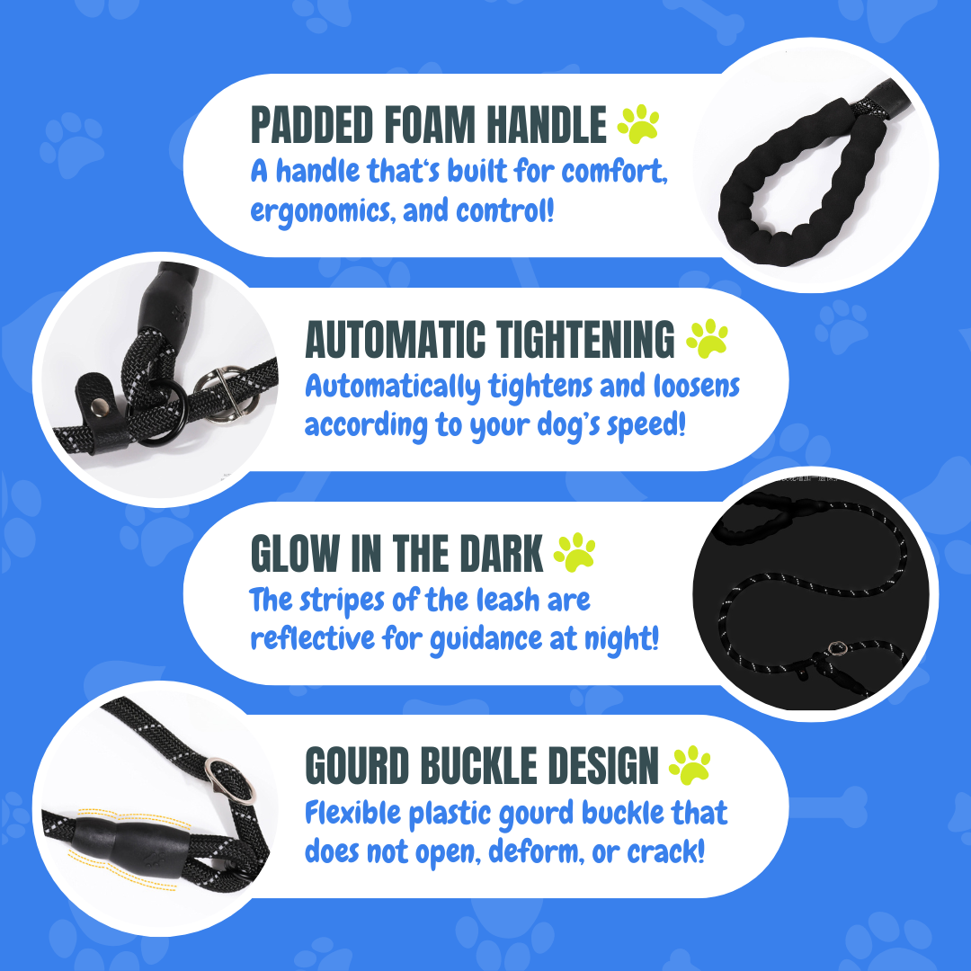 Anti-pull Dog Leash
