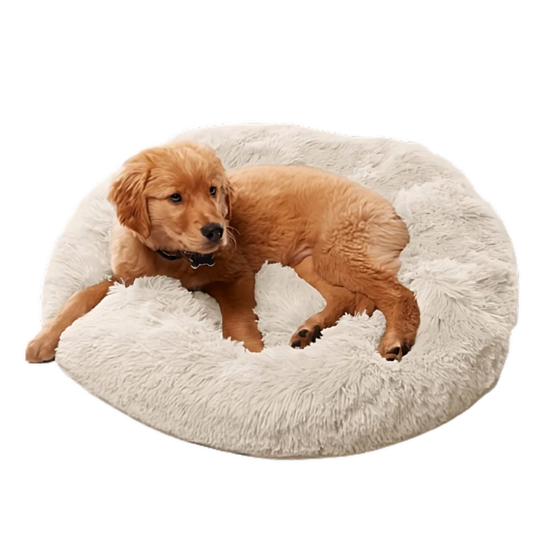 Cloud Bed
