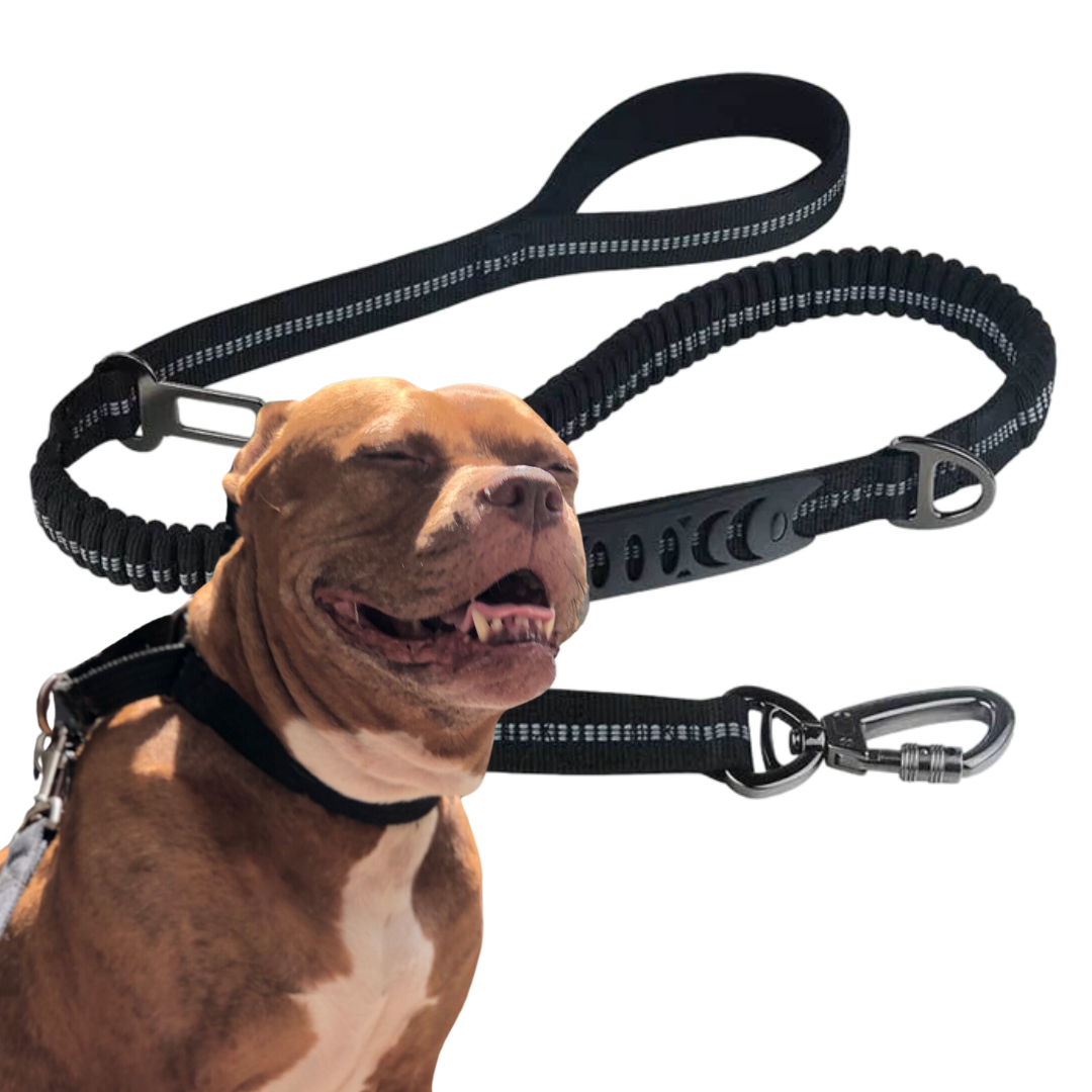 2-in-1 Safety Strap Leash