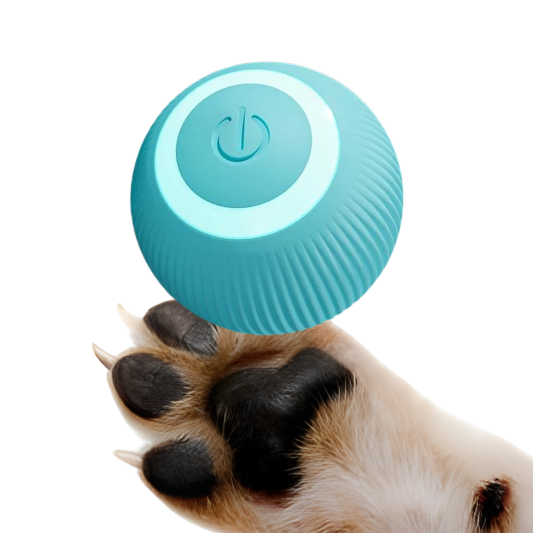 Dancing Ball Toy