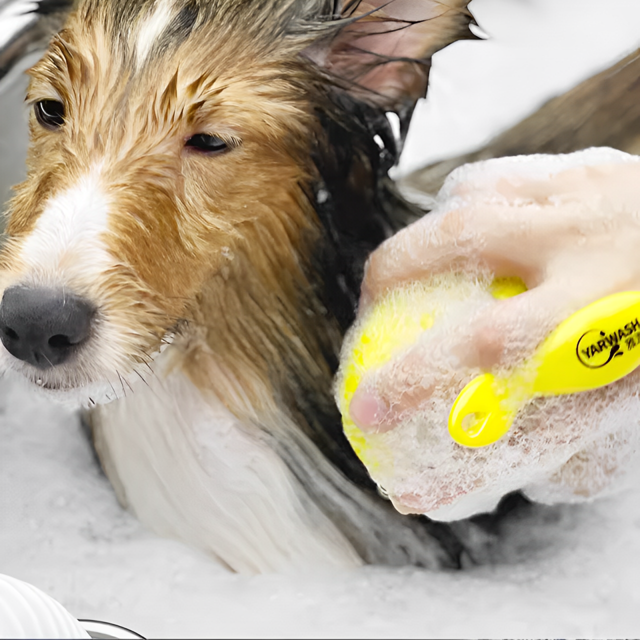 No-slip Bath Brush