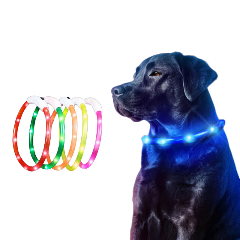 LED Dog Collar