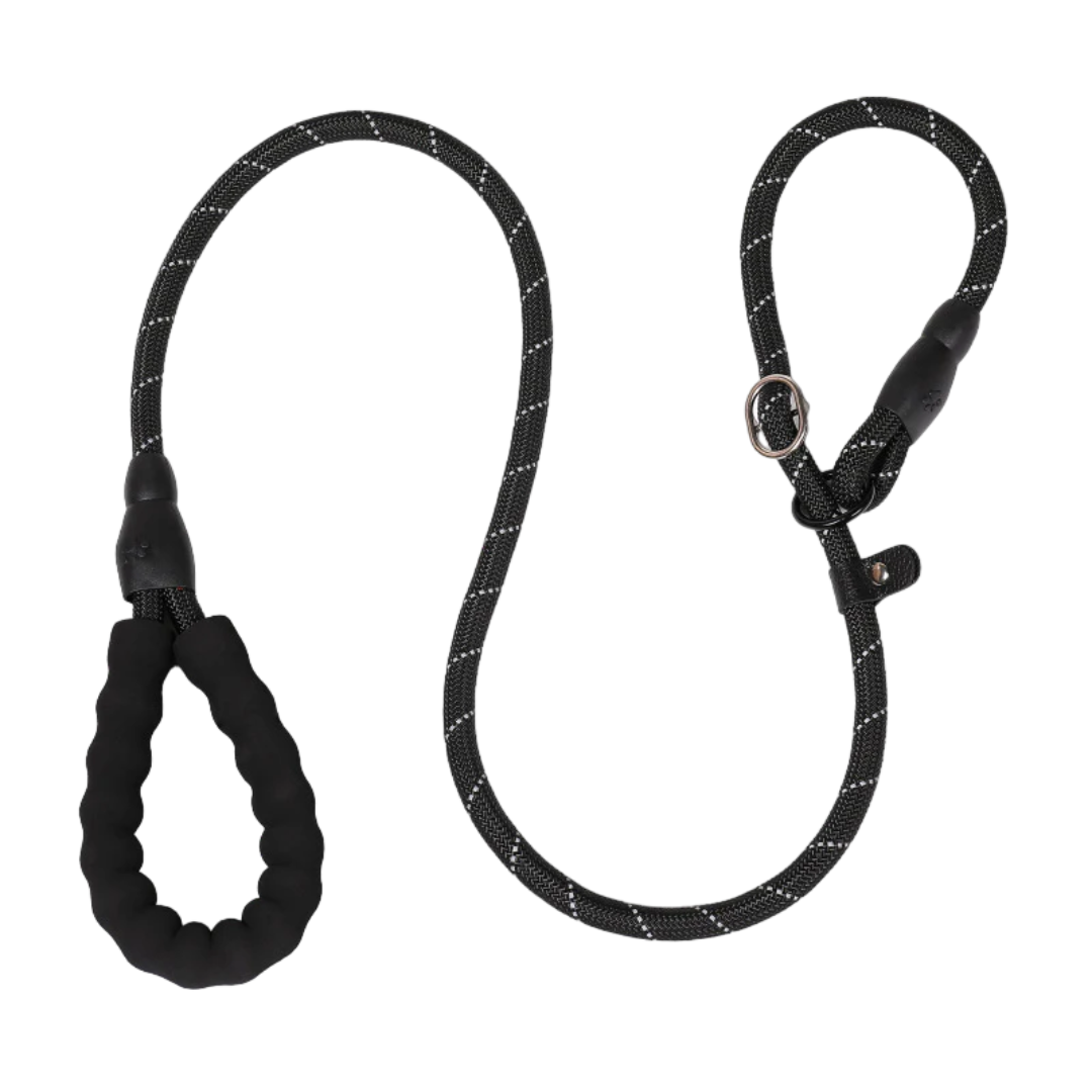 Anti-pull Dog Leash
