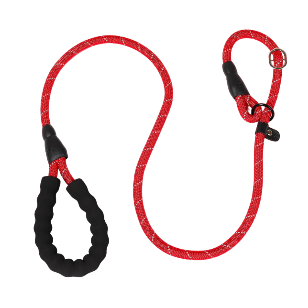 Anti-pull Dog Leash