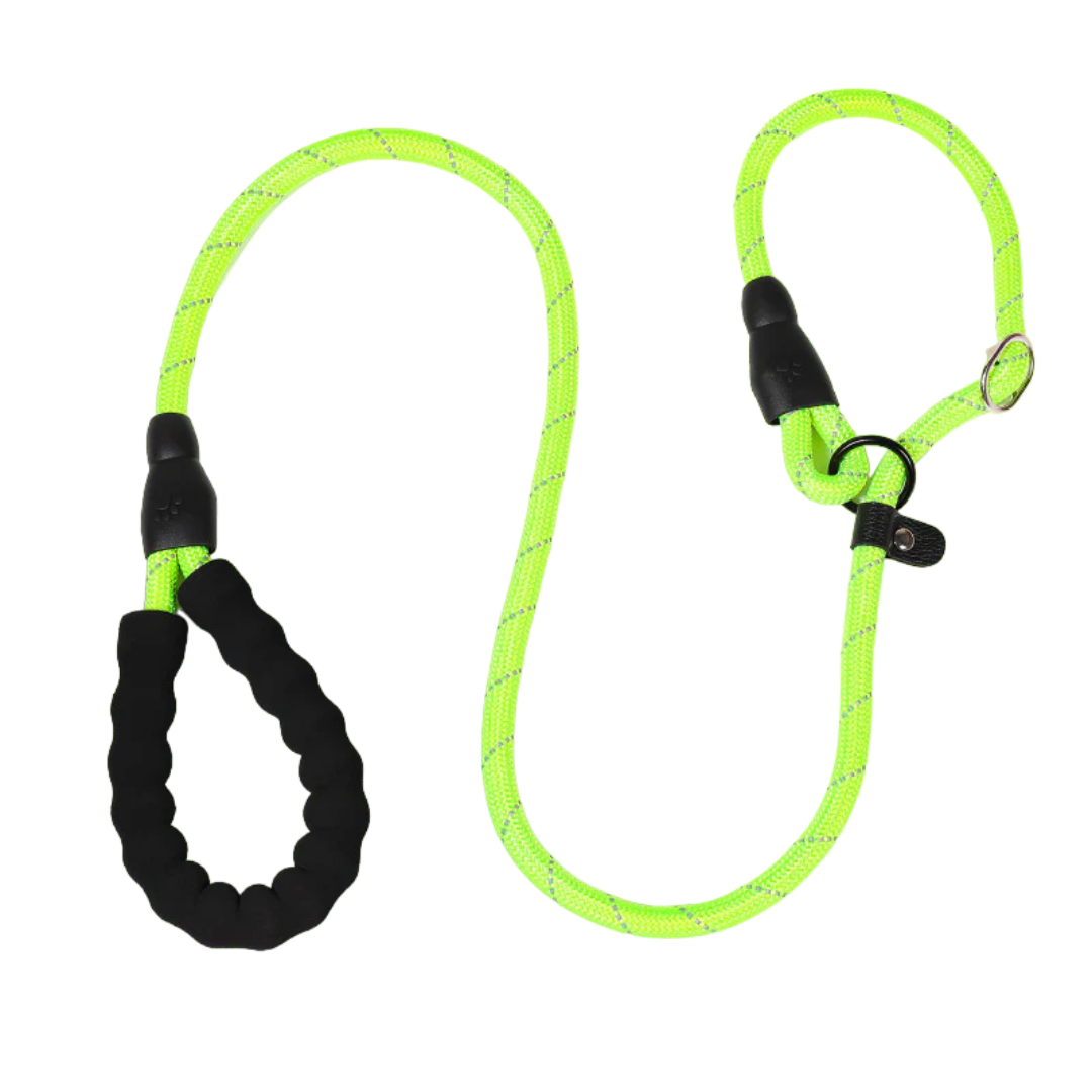 Anti-pull Dog Leash