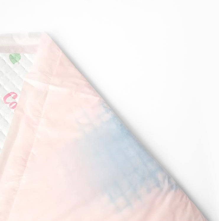 Easy Potty Pads