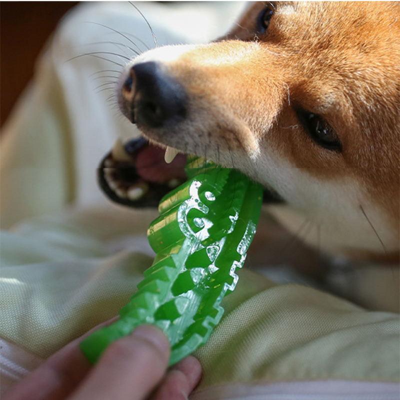 Fillable Crocodile Treat Toy