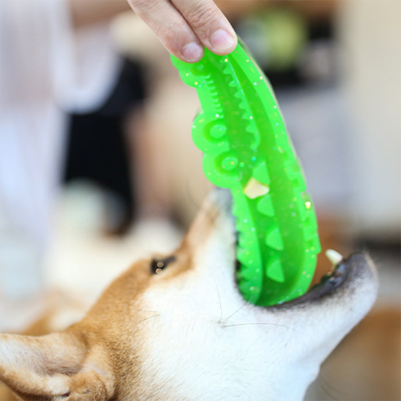 Fillable Crocodile Treat Toy
