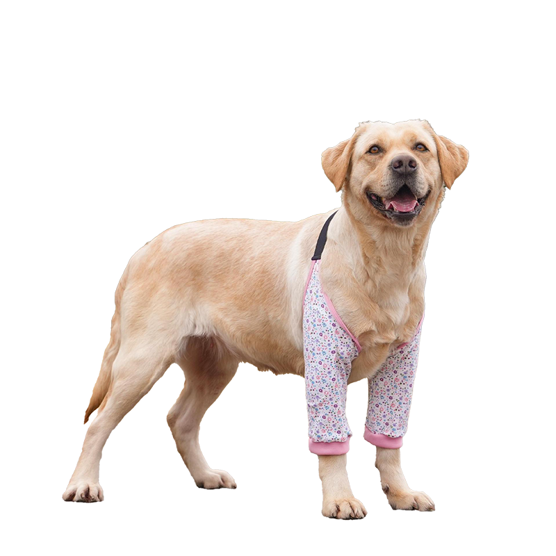 Dog Elbow Protector