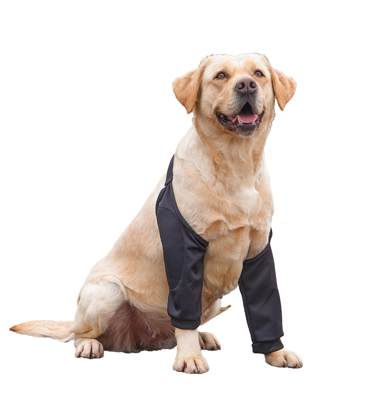 Dog Elbow Protector