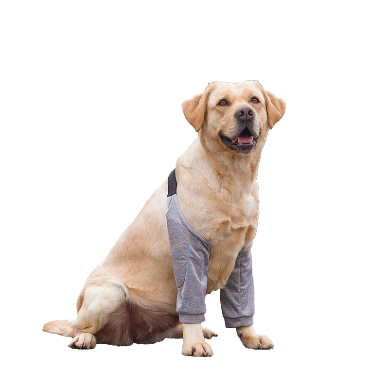 Dog Elbow Protector