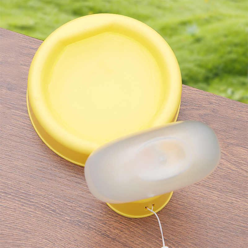 Foldable Pet Bottle